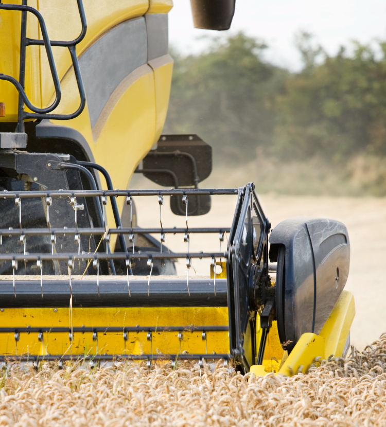 image of yellow combine harvesting