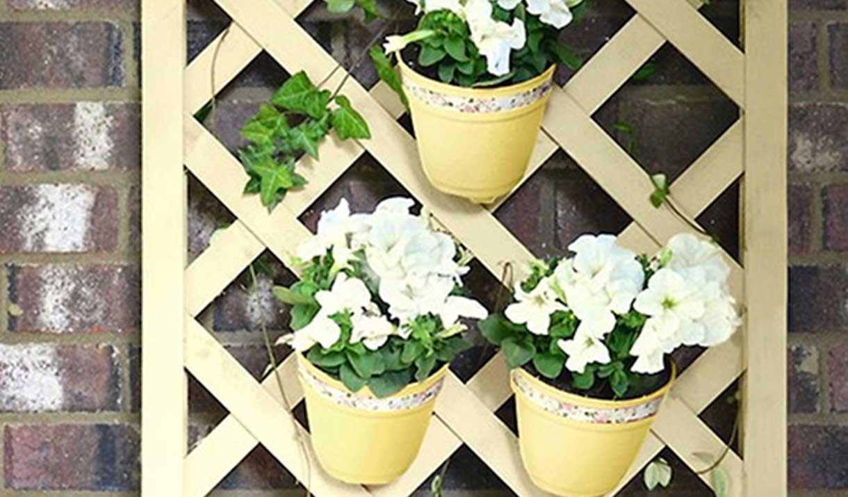 lattice wall with flowers