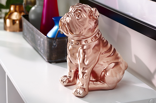 rose gold pug