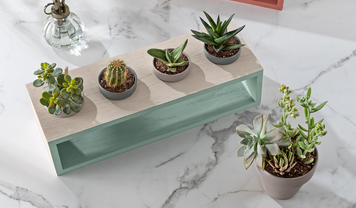 DIY Succulent Garden